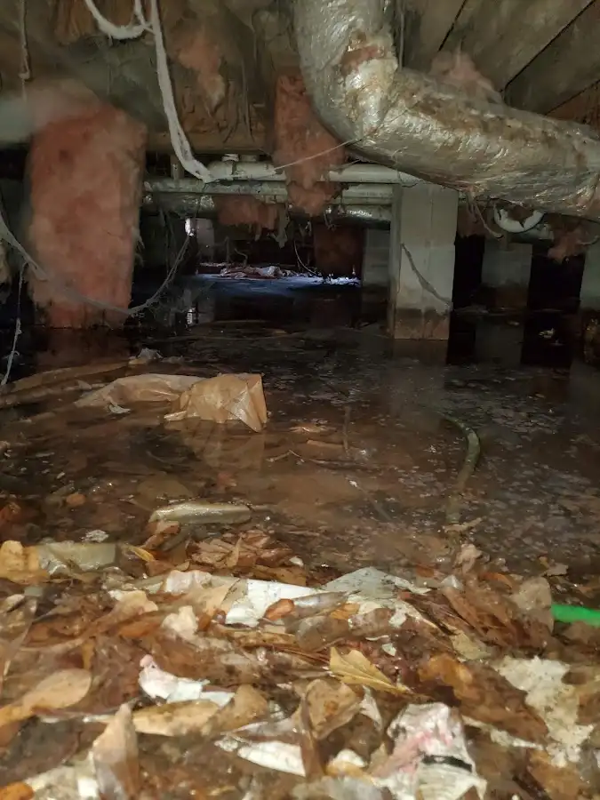 Crawl space flood assessment for Commercial Water Damage Restoration in Alamogordo